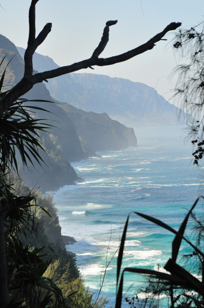 Shoji-it -seaside  images